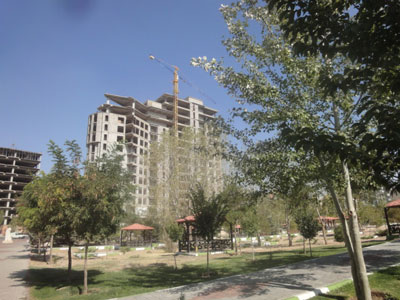 ائل گولی